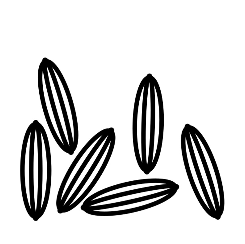 Cumin Seeds